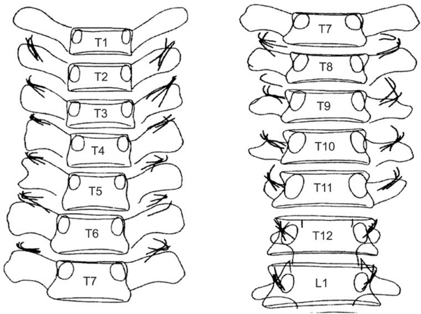 816D1EC0-60FB-4AEC-BC38-32DAB8ACECE5.png