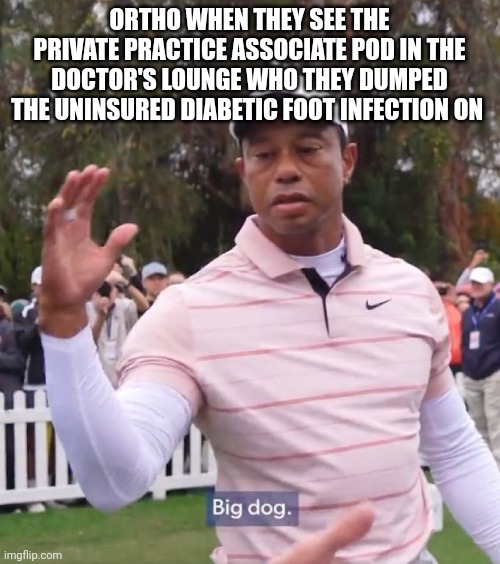 8ajf0c.jpg