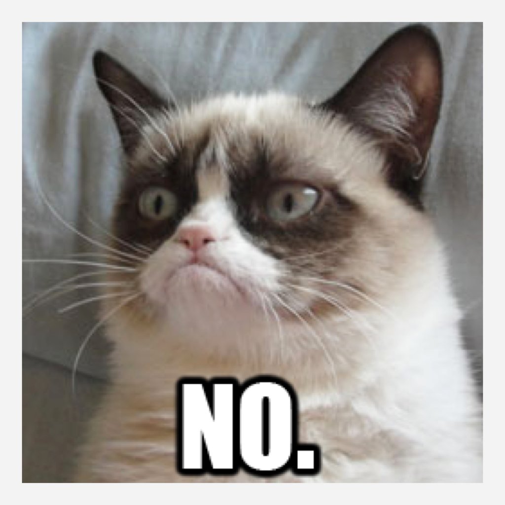 8dfd0ee0c9ebf8adc09580bdc6d7b289_1000-images-about-grumpy-cat-no-meme-grumpy-cat_1920-1920.jpeg