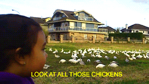 91336916-2262-4010-87E7-4EC616405E4A.gif