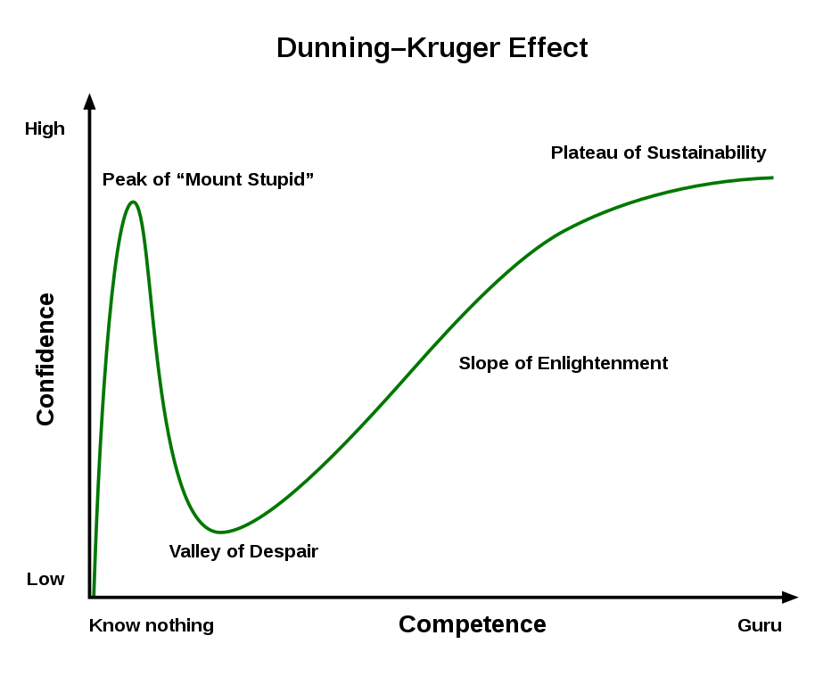 923px-Dunning–Kruger_Effect_01.svg.png