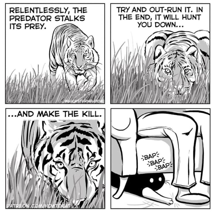 97C3202E-86B2-4426-BB09-1F69D0F3EE73.jpeg
