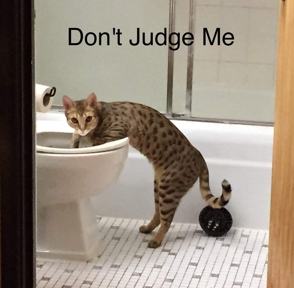 9D0733D4-32A7-4A30-834B-00D5FCDC580C.jpeg