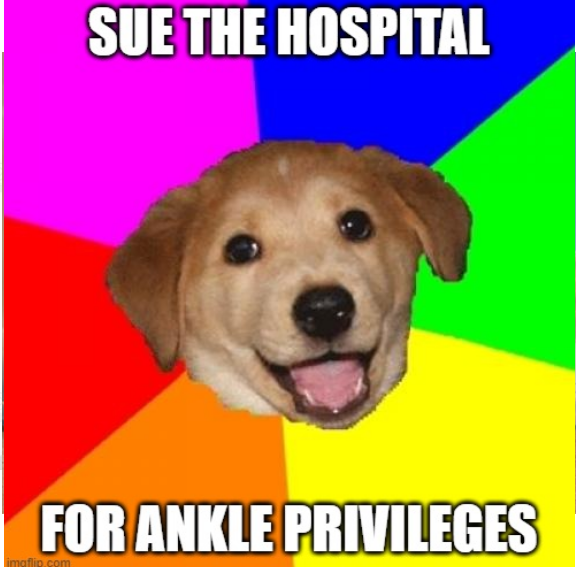 AdviceDog.png