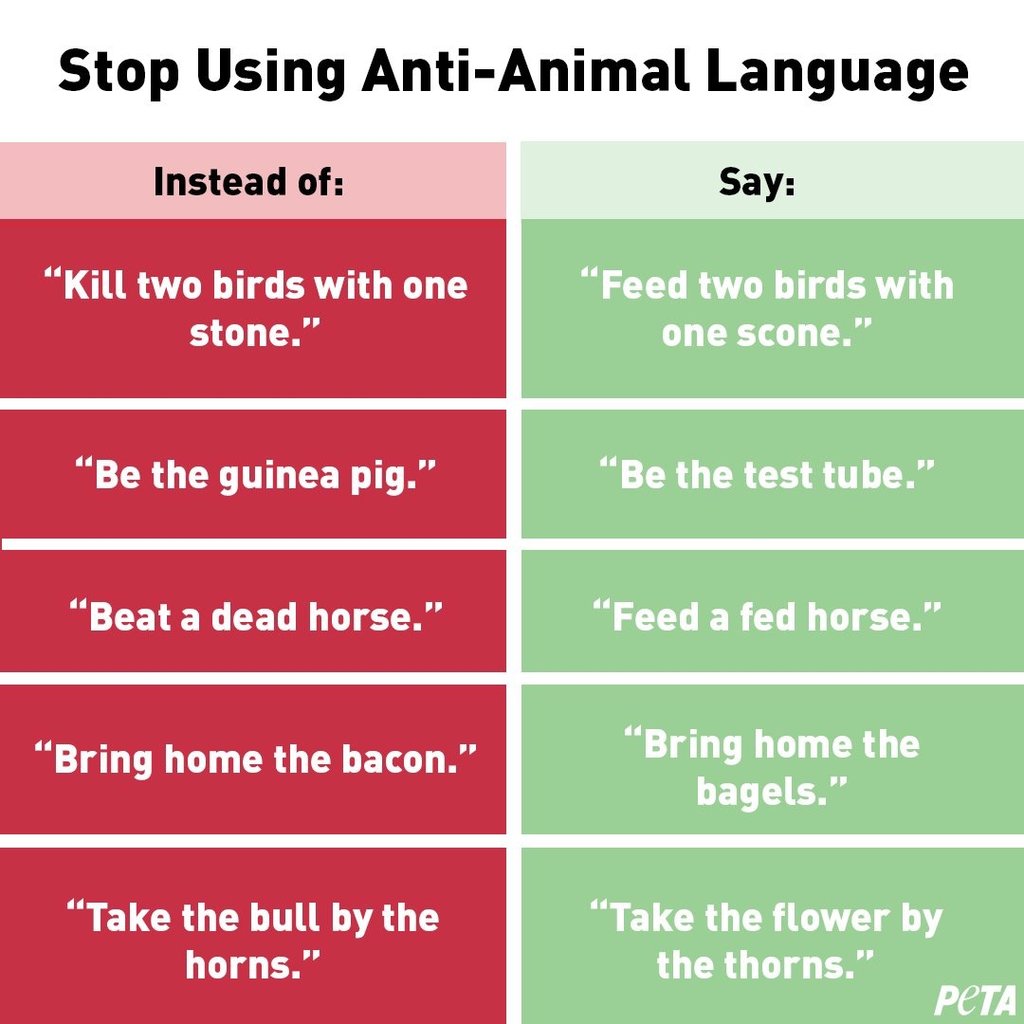 AF4C5A89-BFB1-4A5A-9552-E31039450AF1.jpeg