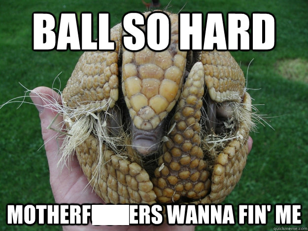 armadillo1.jpg