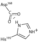 aspartate_and_histidine_130.png