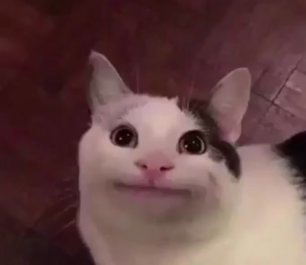 awk cat.png