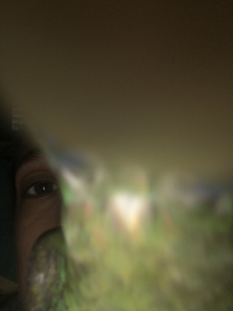 B01C5D4C-ED60-44E9-BC40-B71BC288354B.jpeg