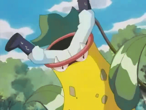 B1E.gif