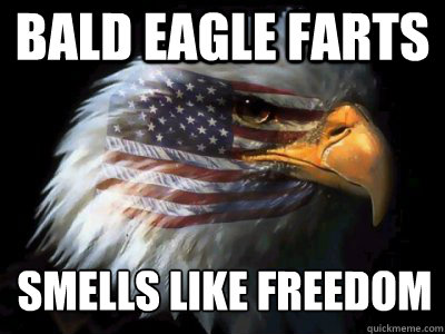 bald eagle farts.jpg