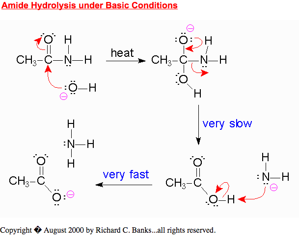 Base catalyzed hydrolysis of Amide.png