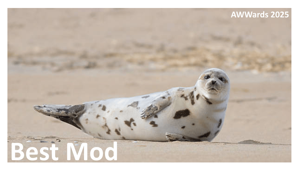 Best Mod 2025.gif