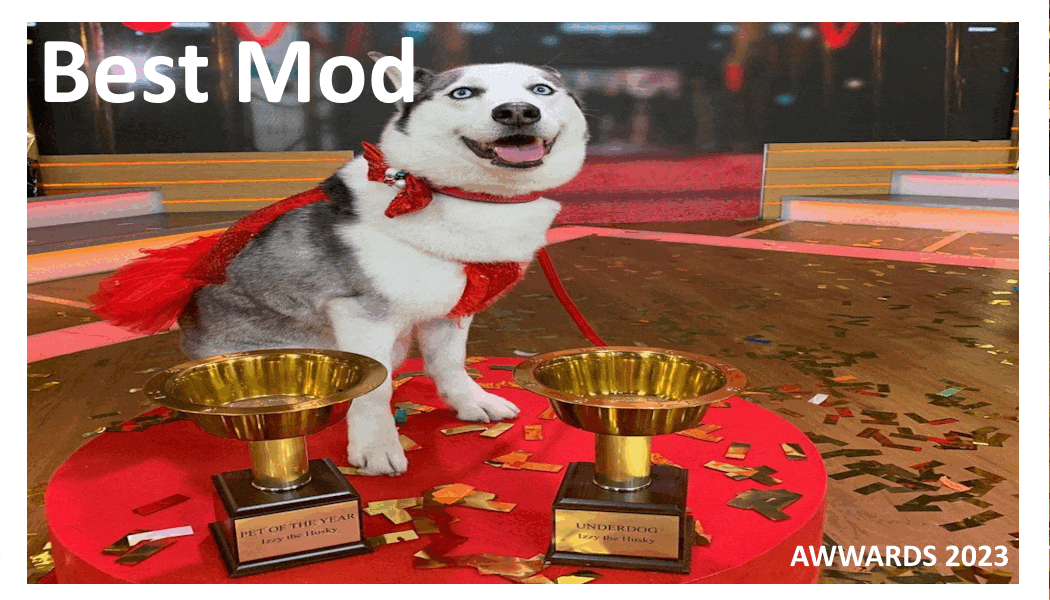 Best Mod.gif