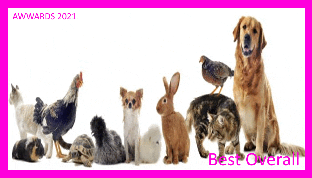 best overall.gif