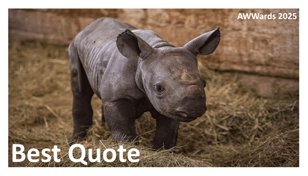 Best Quote 2025.gif