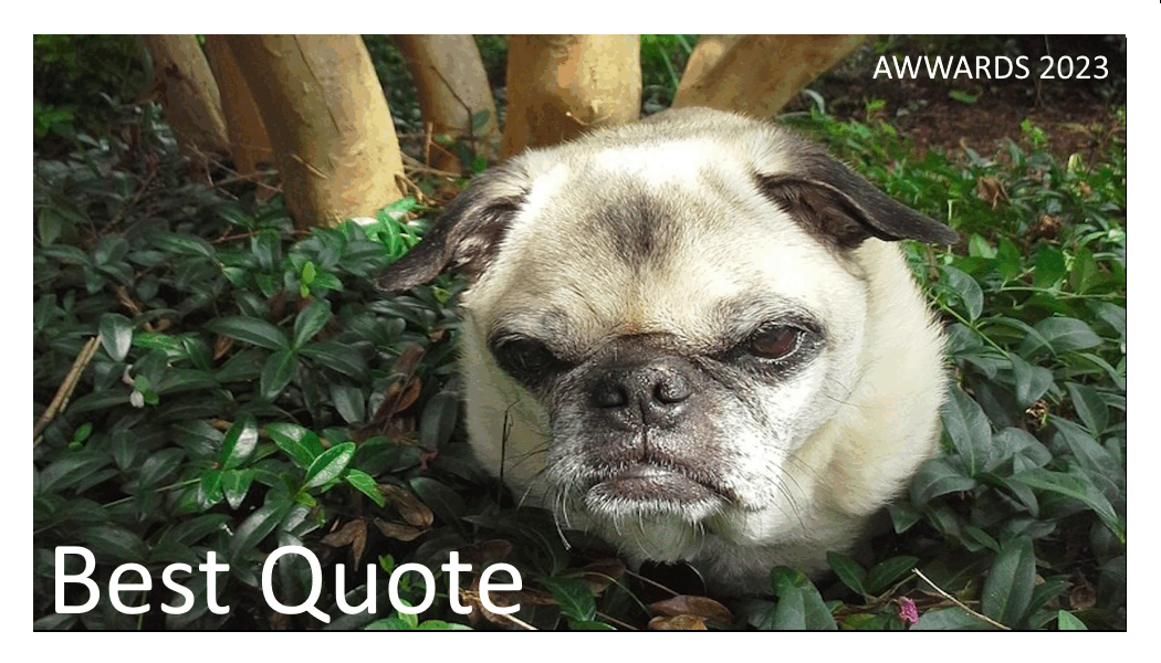 Best Quote.gif