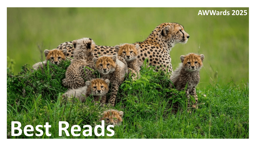 Best Reads 2025.gif