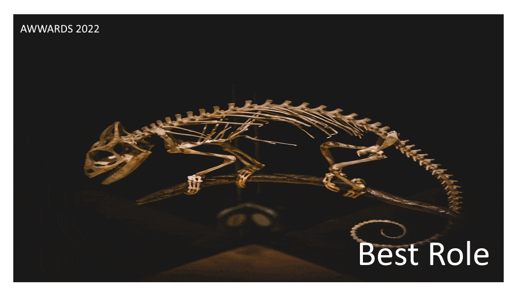 best role.gif