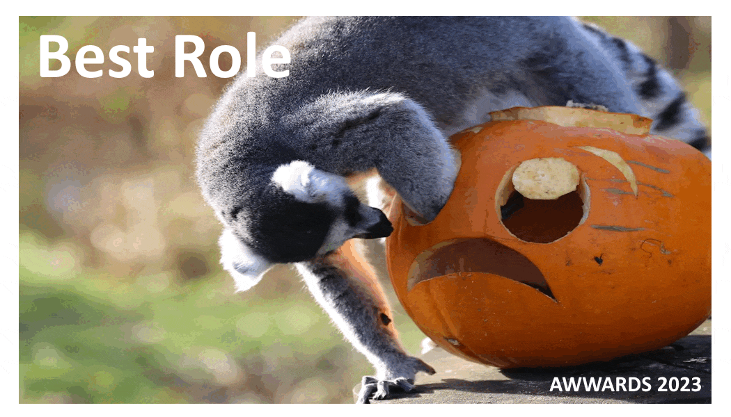Best Role.gif