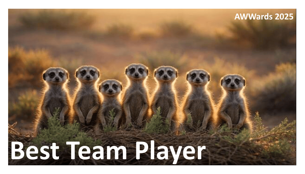 Best Team Player 2025.gif