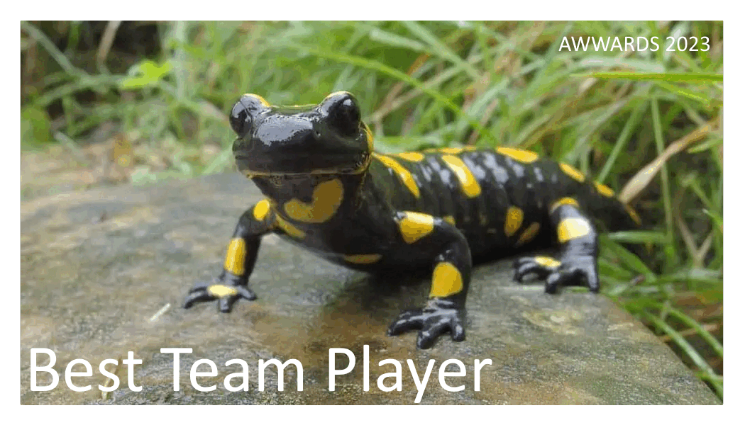 Best Team Player.gif