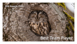 best-team-player-smol-gif.330324