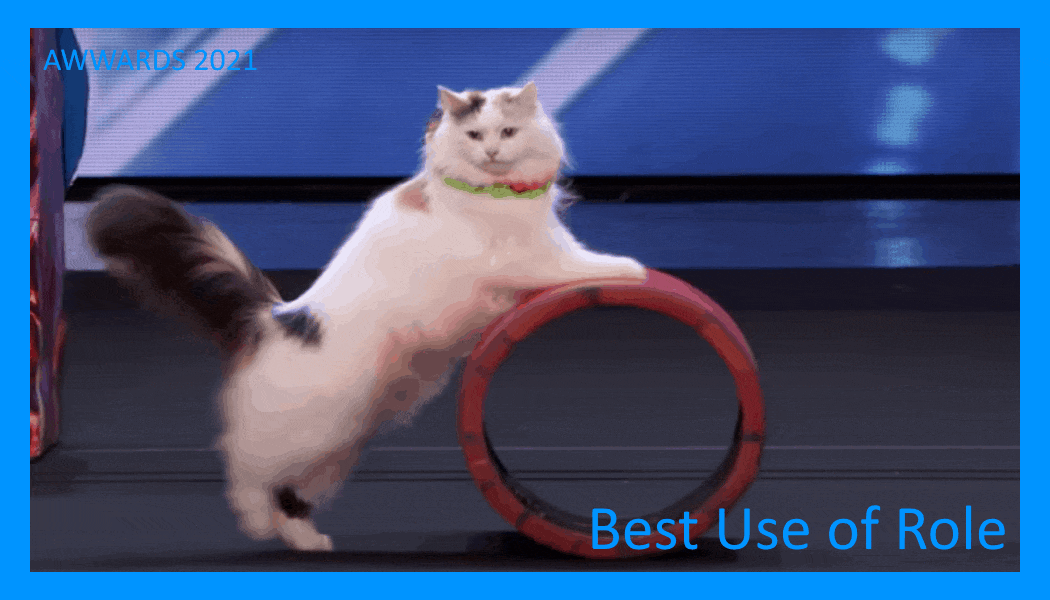 best use of role.gif
