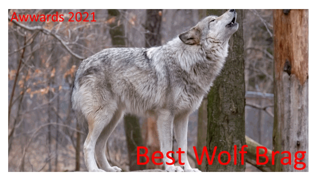 Best Wolf Brag.gif