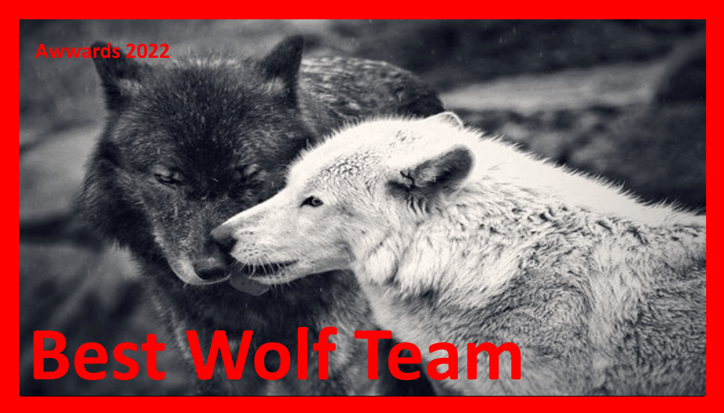 Best Wolf Team.gif