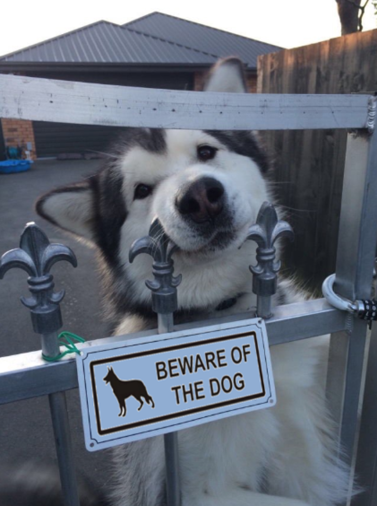 beware of dog.png