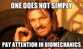 Biomechanics.jpg