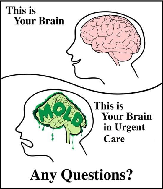 brain-in-urgent-care.jpg