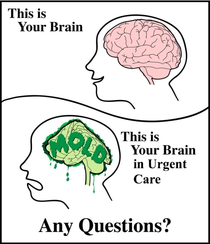 brain_in_urgent_care.JPG