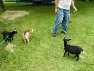 C5830BF0-E8BE-4E76-9834-DB45689E12D9.gif