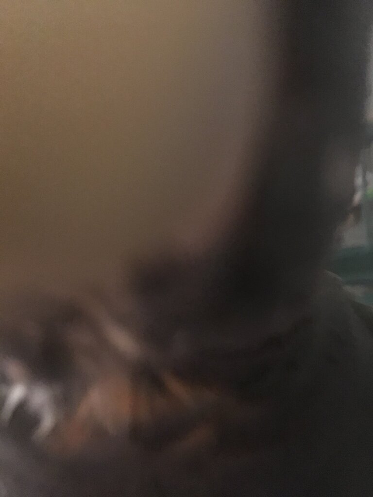 C9478F89-7212-463C-91F0-681E7D44F874.jpeg