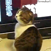 cajt.gif