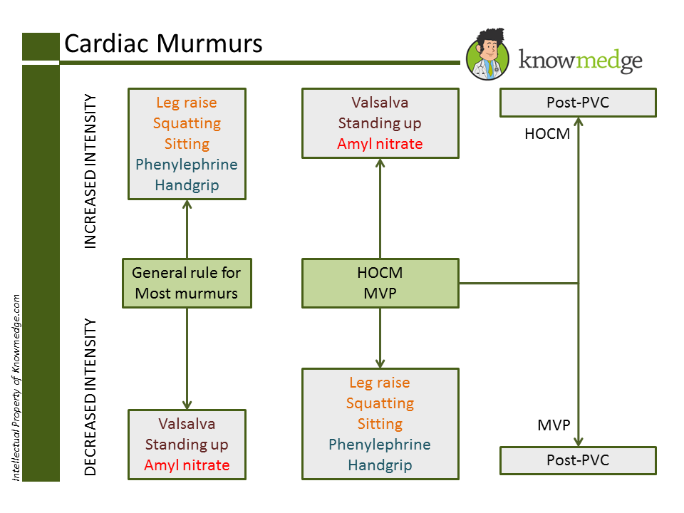 Cardiac Murmurs HOCM MVP.png