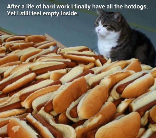 cat hot dogs all.jpg