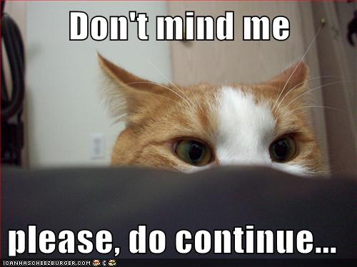cat lurking.jpg