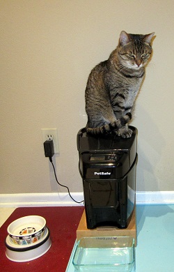 CatFeeder.jpg