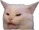 catwhat.png