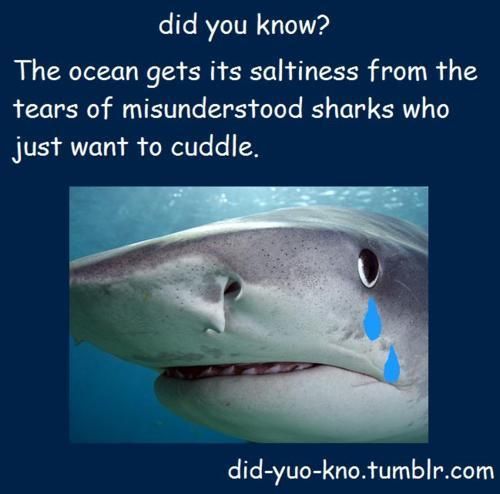 ce2697bed2a23f2c4e9561b729df16f5.jpg
