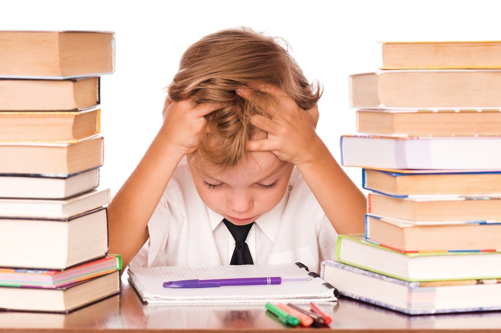 Child-studying-from-many-books-1024x682.jpg