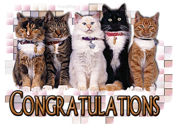 congratulations1.gif