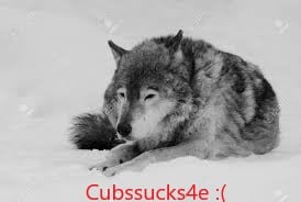 cubswolf2.jpg