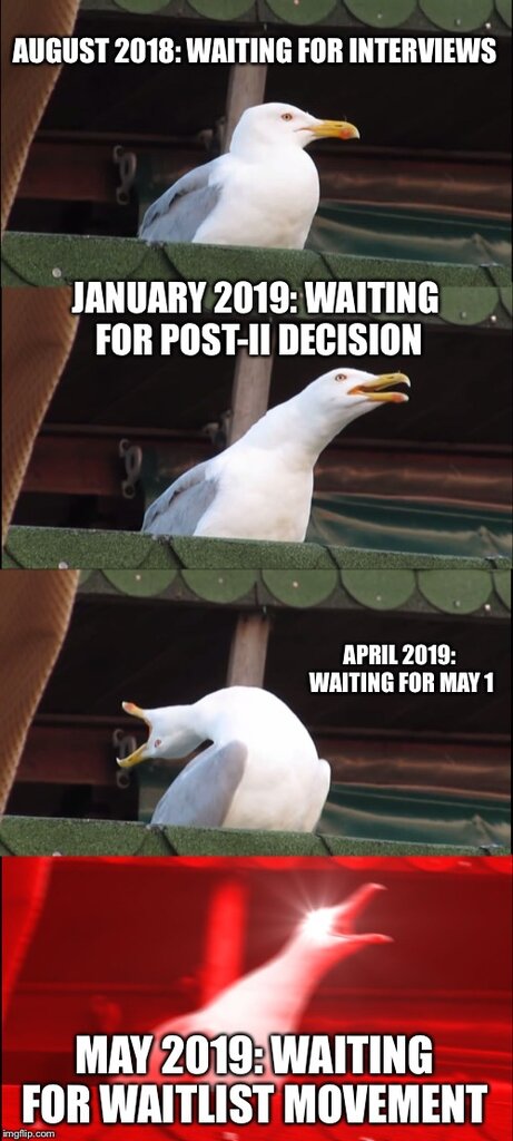D8D90C57-63D2-43D9-97B9-E760F5DE9EDA.jpeg