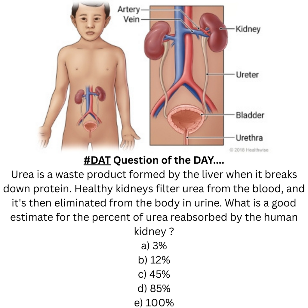 #DAT Question of the DAY.... Urea is a waste product formed by the liver when it breaks down p...png