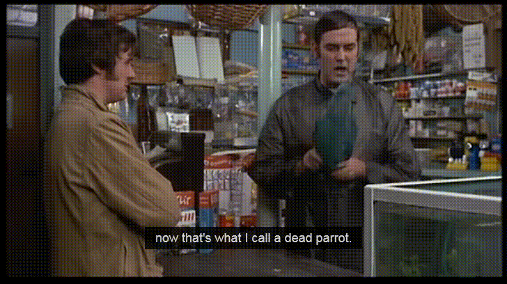 dead parrot.gif