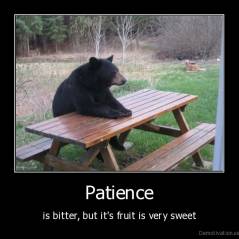 demotivation.us__Patience-is-bitter-but-its-fruit-is-very-sweet.jpg